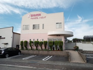 �A�j�}����ÃZ���^�[���y�b�g�N���j�b�N�̊O��