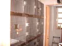 �A�j�}����ÃZ���^�[���y�b�g�N���j�b�N�̓��@��