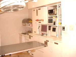 �A�j�}����ÃZ���^�[���y�b�g�N���j�b�N�̎�p��