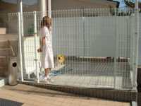 �A�j�}����ÃZ���^�[���y�b�g�N���j�b�N�̉^����