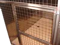 �A�j�}����ÃZ���^�[���y�b�g�N���j�b�N�̓��ʎ�2